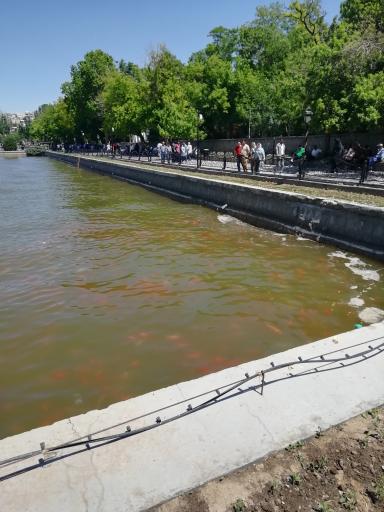 عکس محل تجمع ماهی های قرمز