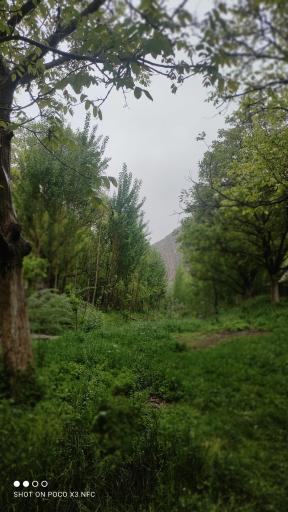 عکس ارتکند