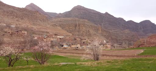 عکس ارتکند