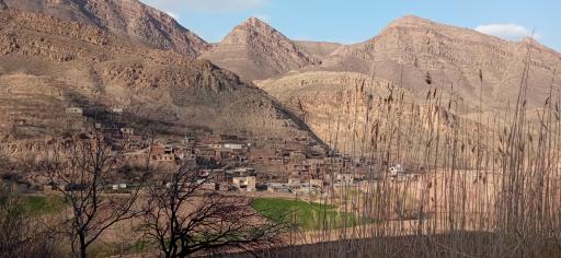 عکس ارتکند