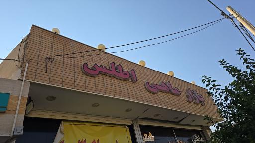 عکس ماهی و مرغ اطلس