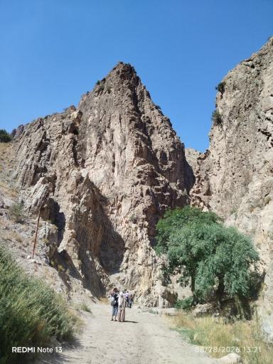عکس ارتکند