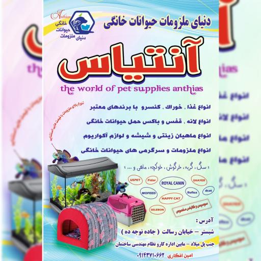 عکس ملزومات حیوانات خانگی آنتیاس