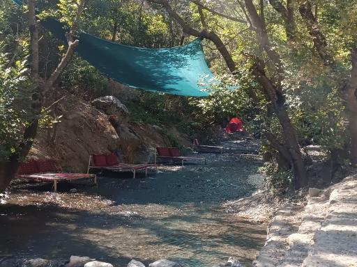 عکس ارتکند