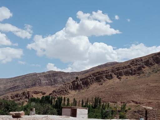 عکس ارتکند