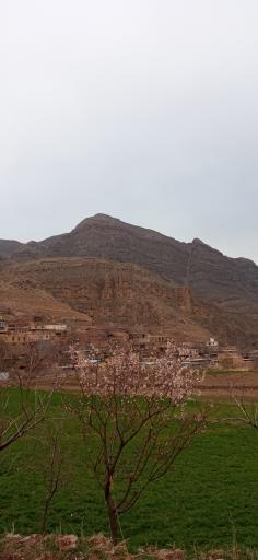 عکس ارتکند