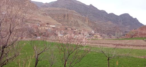 ارتکند