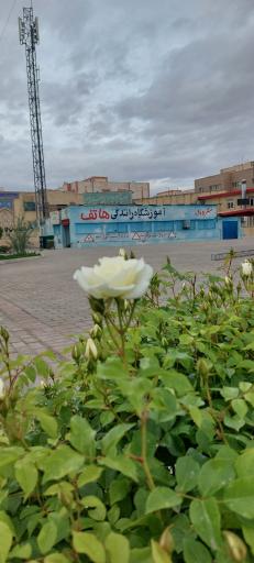 عکس آموزشگاه رانندگی هاتف