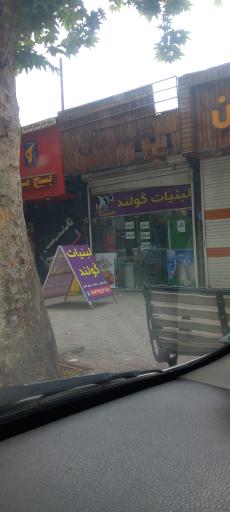 عکس لبنیات گولند