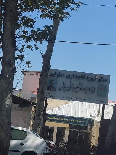 عکس مرکز نگهداری معلولین ذهنی مرحوم نوشیروانی بابل