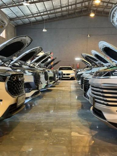 عکس داینو جت مهری