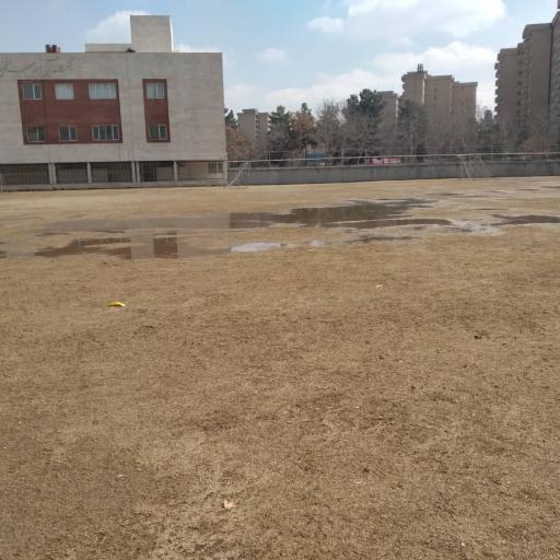 عکس زمین چمن کارگران