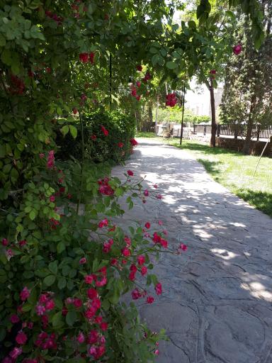 عکس بوستان خطی