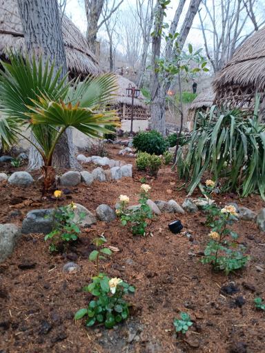 عکس باغ رستوران جیرمله 