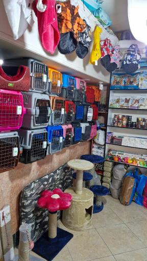 پت شاپ مون لایت