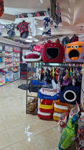 پت شاپ مون لایت