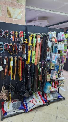 پت شاپ مون لایت