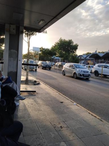 عکس  دانشگاه فردوسی