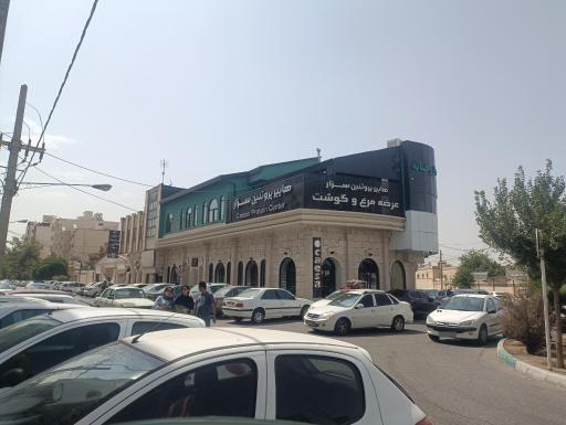 پروتئین سزار