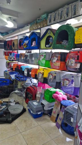 عکس پت شاپ مون لایت