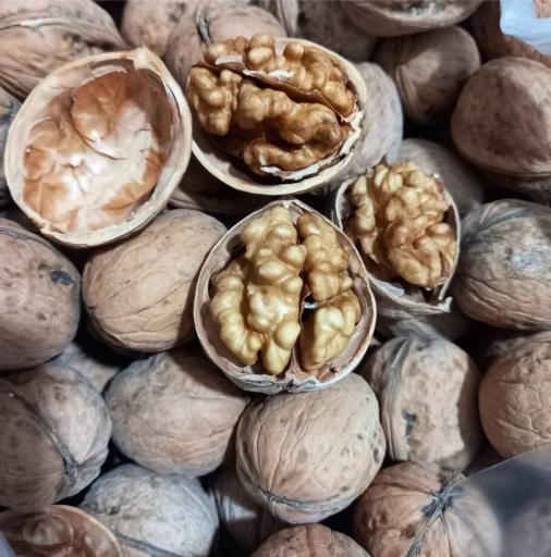 عکس آجیل و خشکبار پرنیان