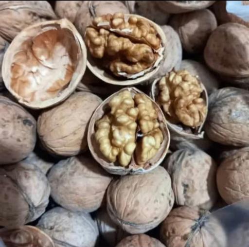 عکس آجیل و خشکبار پرنیان