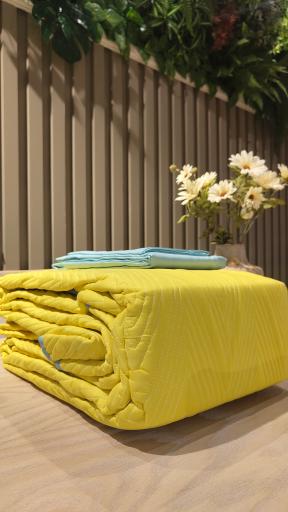 عکس گالری مبلمان آپادانا