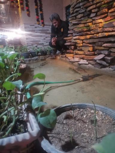 عکس رستروان باباجی