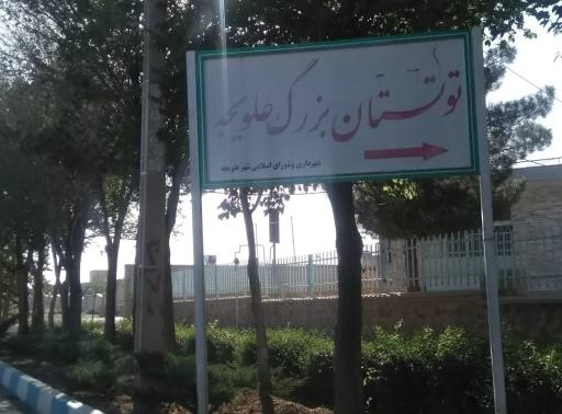 عکس توتستان بزرگ علویجه