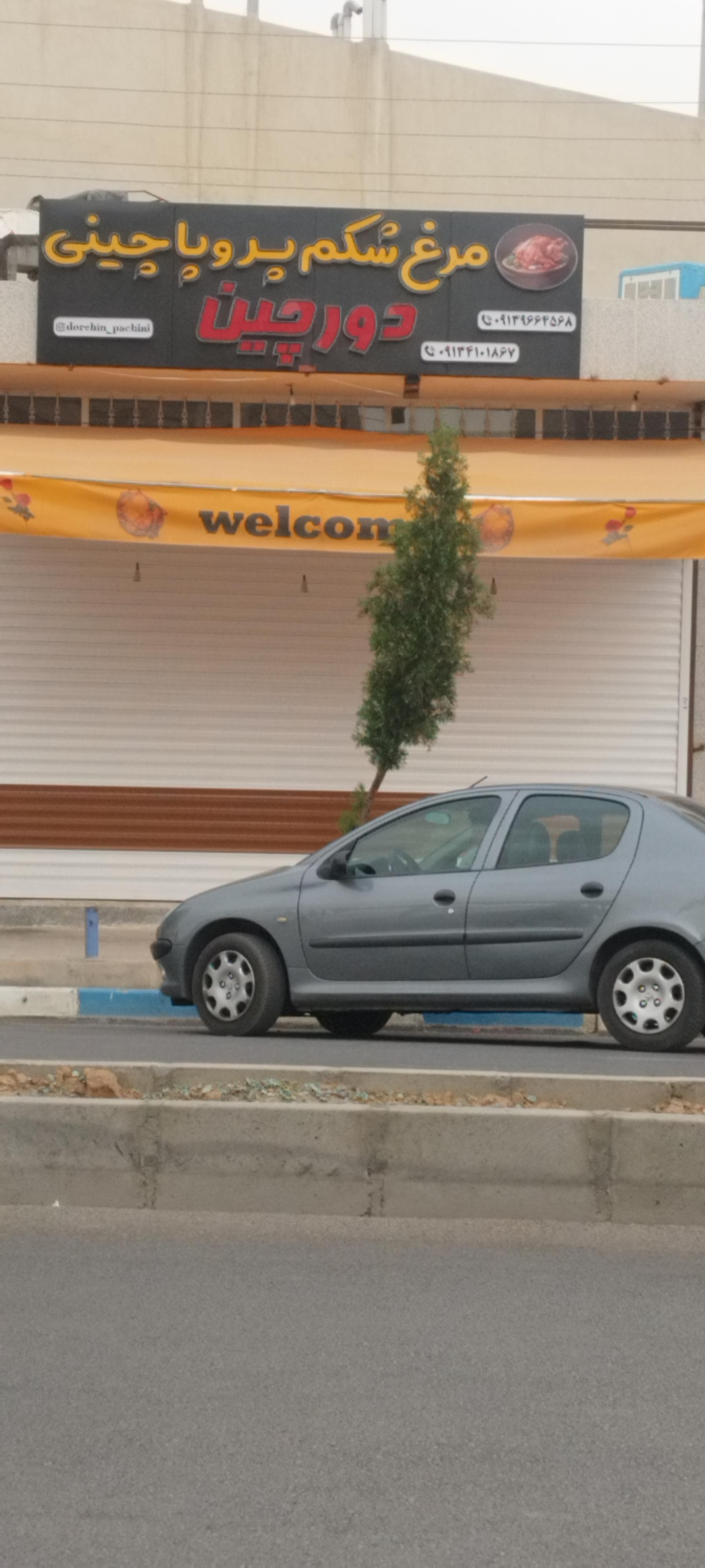 عکس مرغ شکم پر و پاچینی