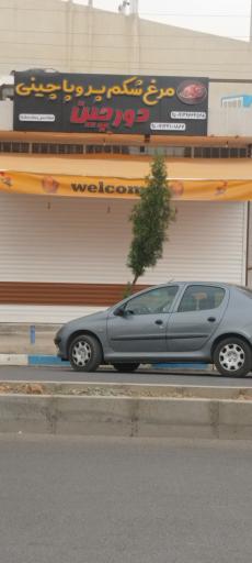 عکس مرغ شکم پر و پاچینی