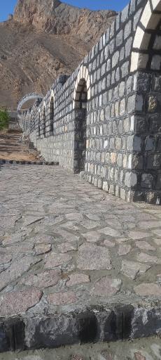 عکس توتستان بزرگ علویجه