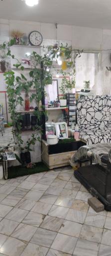 عکس آرایشگاه کلبه لیلی 