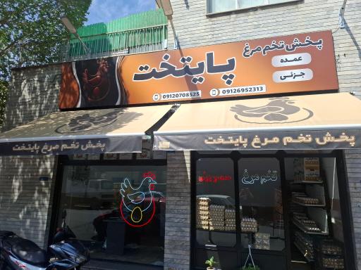 عکس پخش تخم مرغ پایتخت