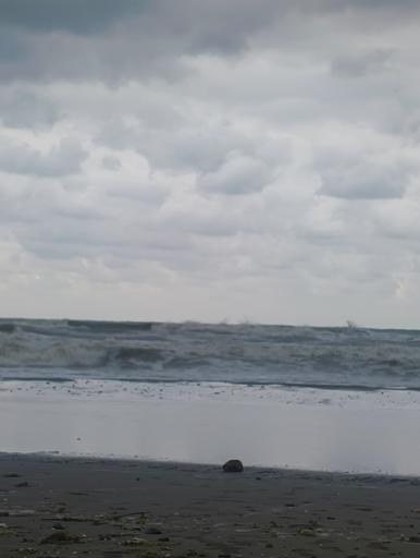 عکس پارک ساحلی دوجمان