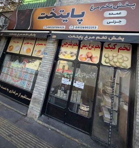 عکس پخش تخم مرغ پایتخت