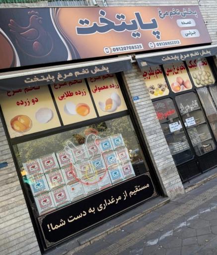 عکس پخش تخم مرغ پایتخت