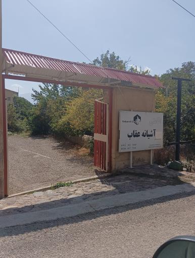 عکس آشیانه عقاب