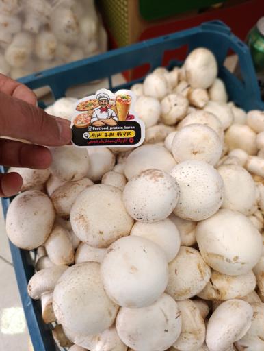 عکس پروتئینی باران