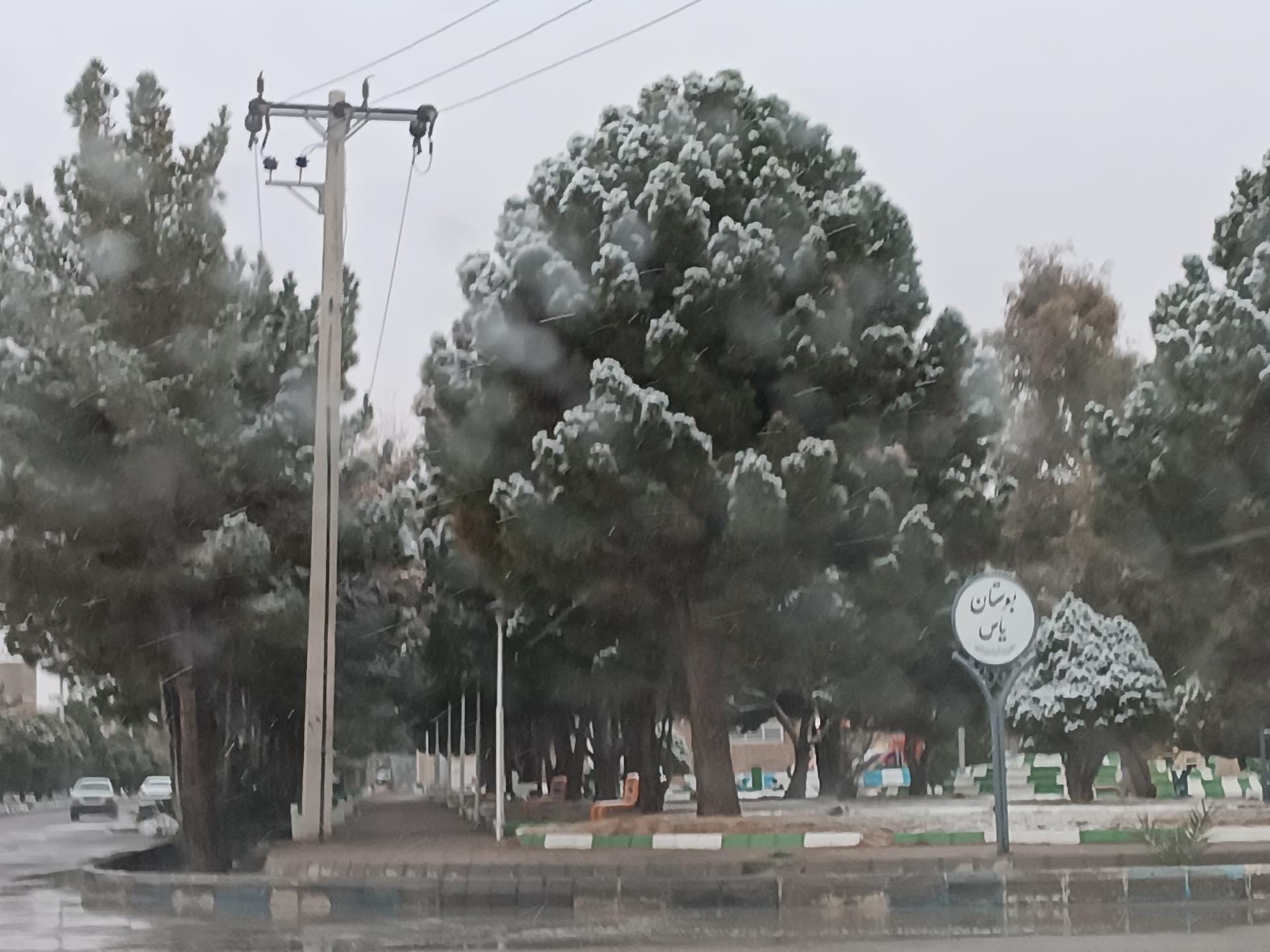 عکس بوستان یاس