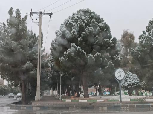 عکس بوستان یاس