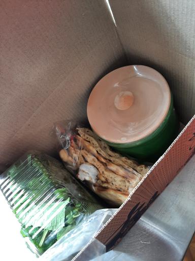 عکس دیزی سرای رایان