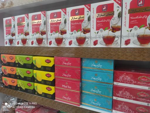 عکس خشکبار امیر