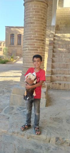 عکس کاخ موزه خسرو آباد