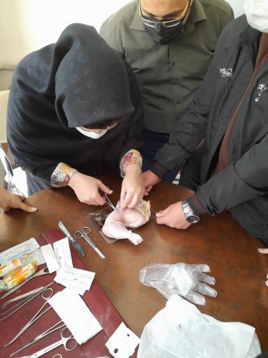 عکس مرکز آموزشی اساتید برتر سلامت 