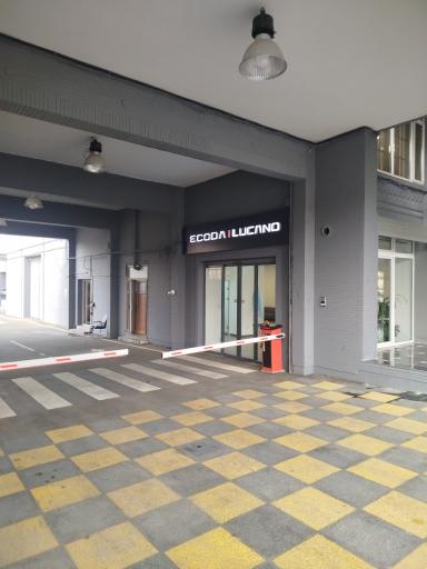 عکس نمایندگی مرکزی لوکانو اکودا