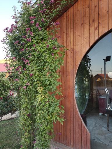 عکس کافه رستوران حس خوب