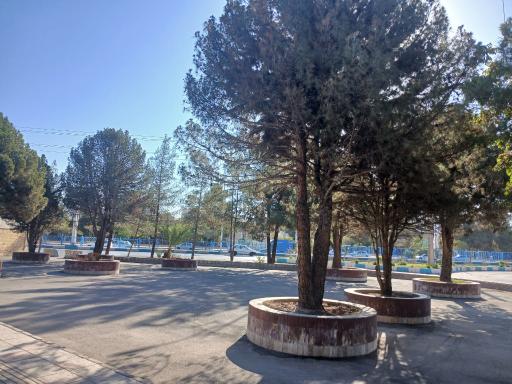 عکس بوستان یاس
