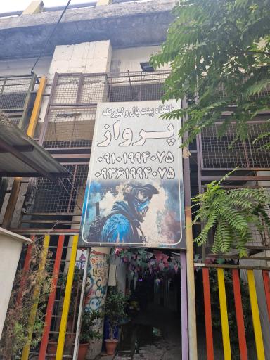 عکس مرکز پینت بال پرواز