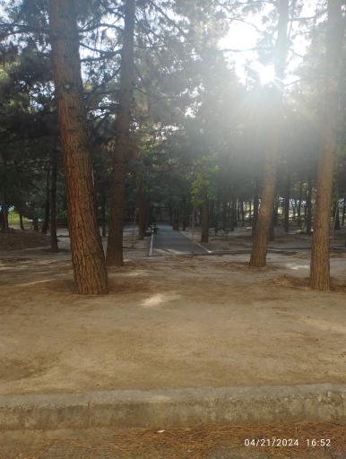 عکس بوستان سلامت